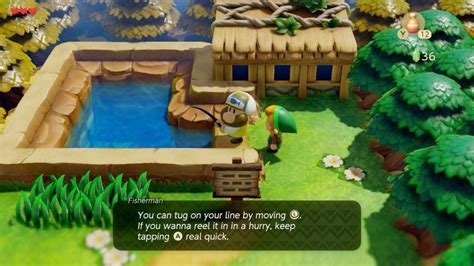 link's awakening fishing.